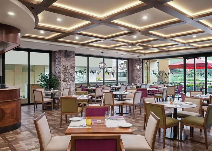 Doubletree By Hilton Gayrettepe 酒店
