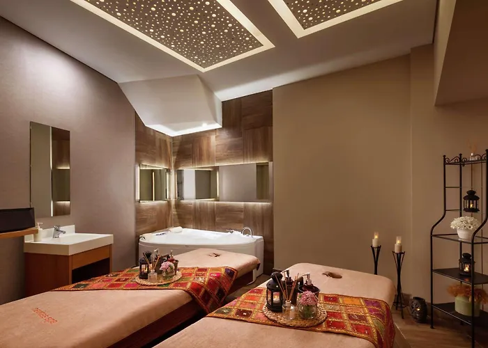 酒店 Doubletree By Hilton Gayrettepe 5*