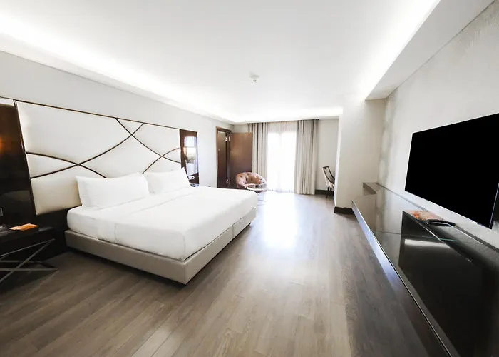 酒店 Doubletree By Hilton Gayrettepe 5*