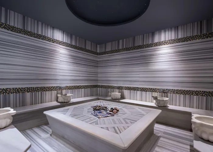 Doubletree By Hilton Gayrettepe 酒店 伊斯坦布尔