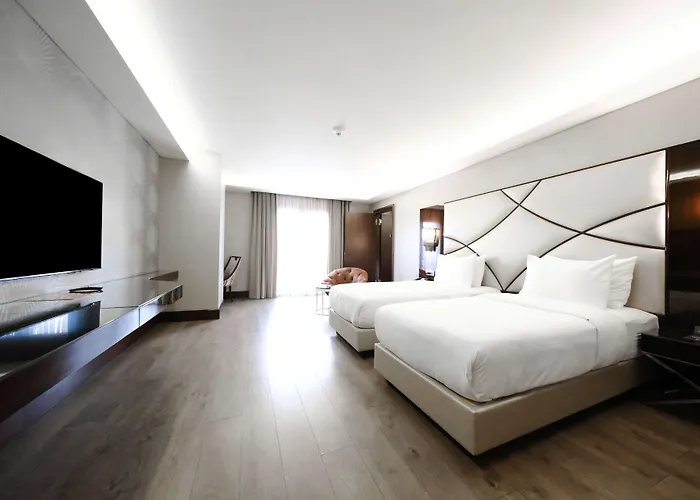 酒店 Doubletree By Hilton Gayrettepe 5*