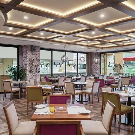 Doubletree By Hilton Gayrettepe Hotel