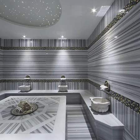 Hotel Doubletree By Hilton Gayrettepe